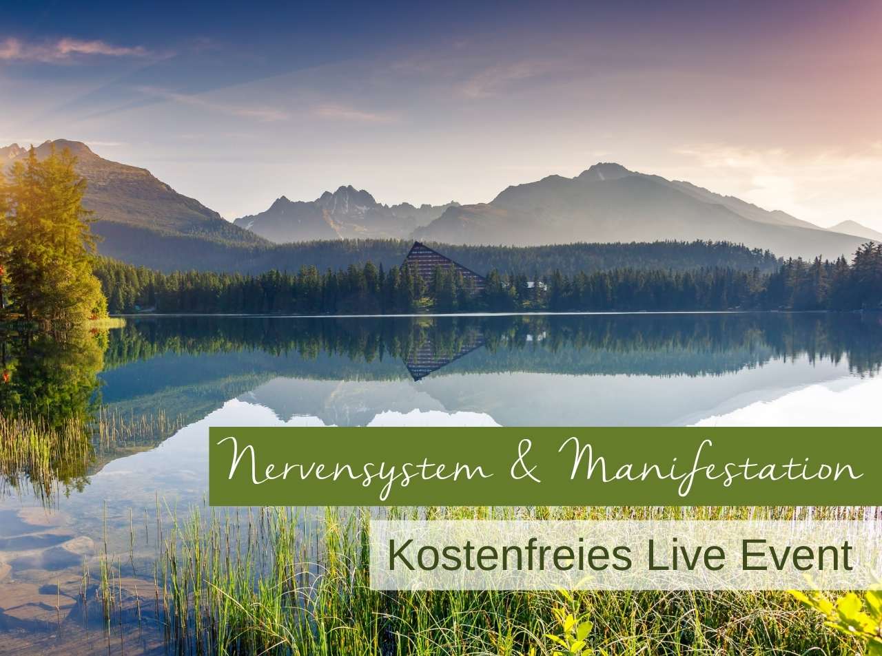 Live Event Nervensystem & Manifestation