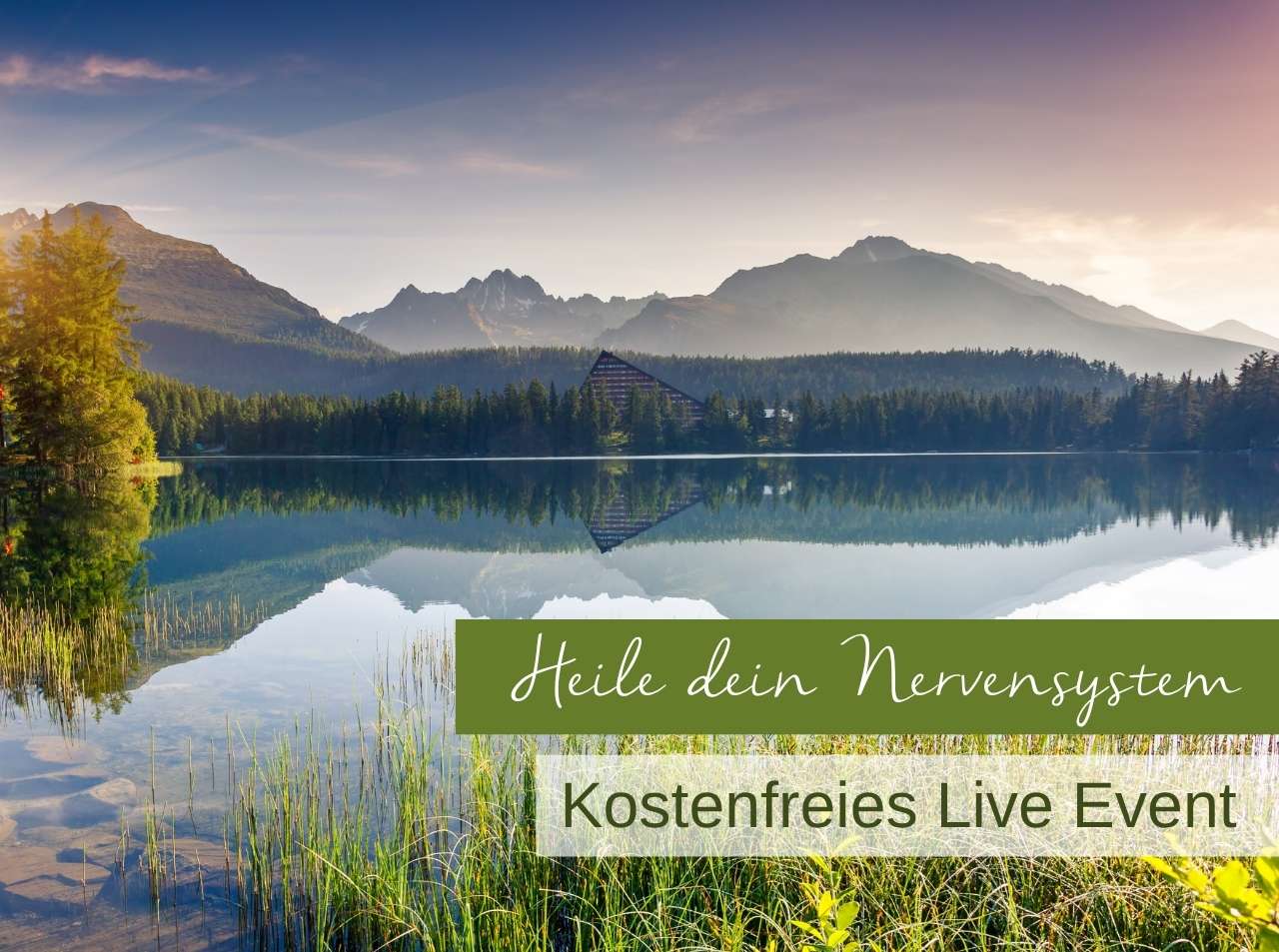 Live Event Heile dein Nervensystem
